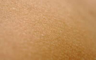 Les pouvoirs de l’huile de nigelle en usage dermocosmétique